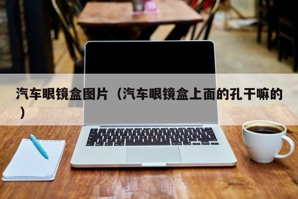 汽车眼镜盒图片（汽车眼镜盒上面的孔干嘛的 ）