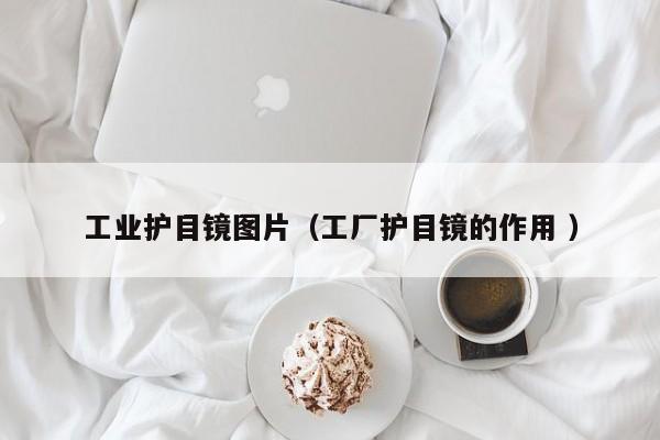 工业护目镜图片（工厂护目镜的作用 ）